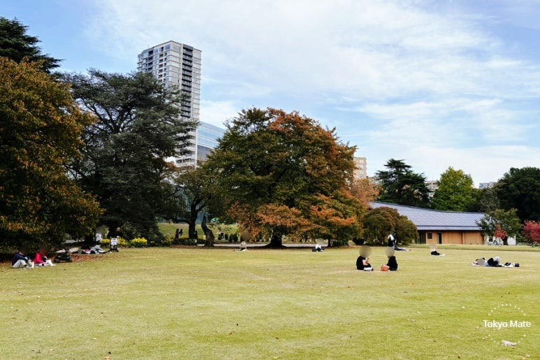 Shinjuku Gyoen English Landscape Garden cherry blossom picnic spot