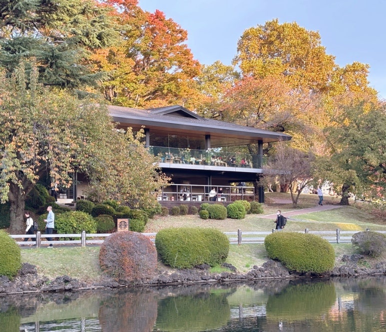 Tokyo Shinjuku Gyoen Complete Guide | Admission·Hours·Starbucks·Cherry Blossoms·Picnic·Running (2025)