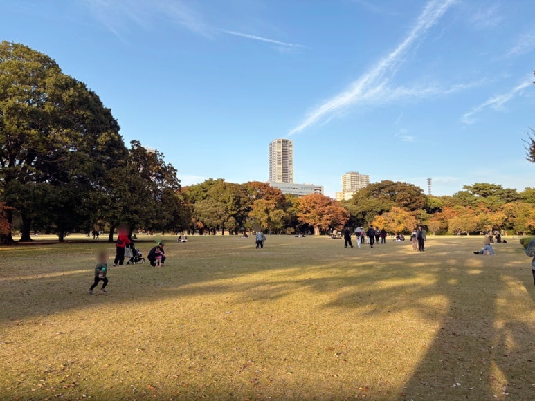 Shinjuku Gyoen English landscape garden | Popular picnic blanket location