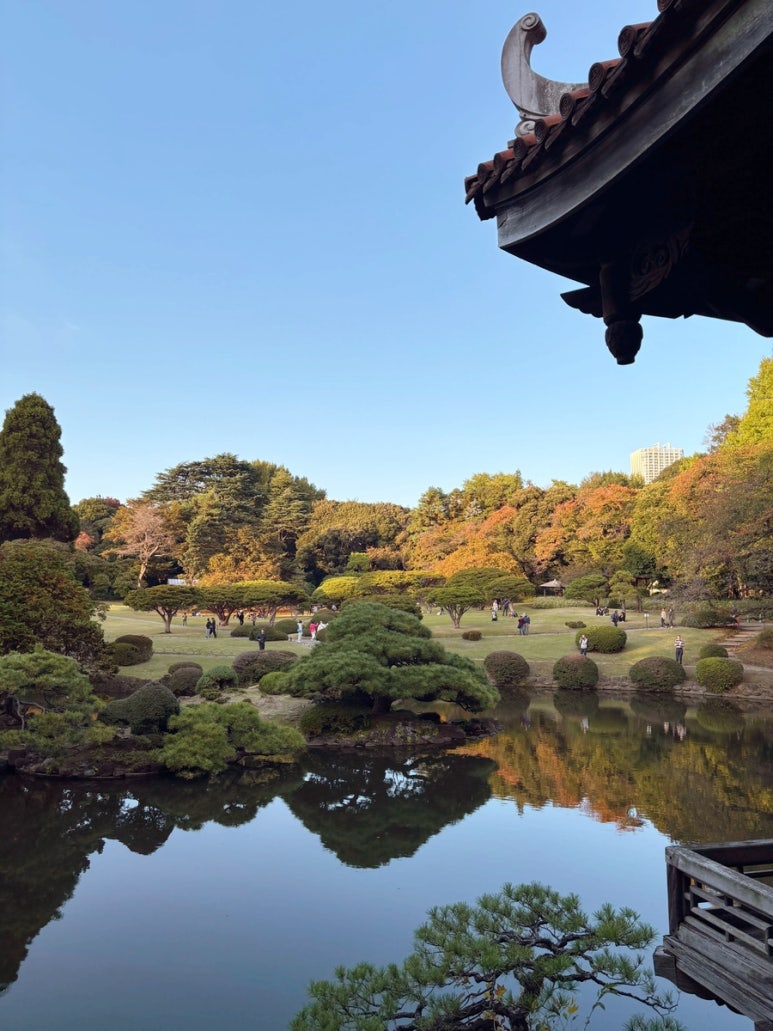 Shinjuku Gyoen Japanese garden view | Tokyo garden with The Garden of Words feel