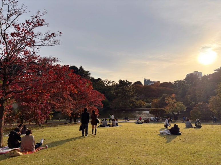 Shinjuku Gyoen sunset view | Tokyo Shinjuku building view and park sunset scenery