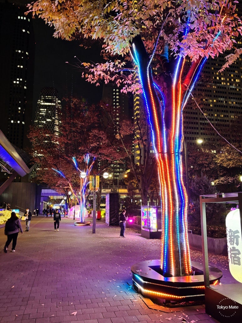 Echo Trees illuminated art installation at Zone D