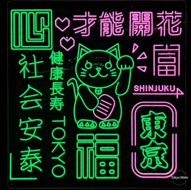 Zone D neon art installation pink and blue lights