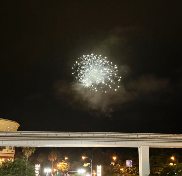 Tokyo Disneyland night fireworks, DisneySea night view