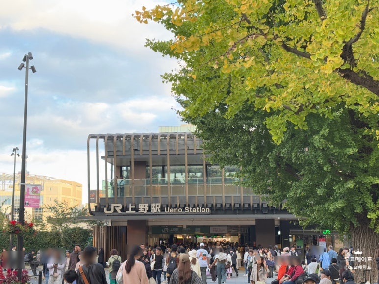 Ueno Park where Tokyo's largest Christmas market will be held