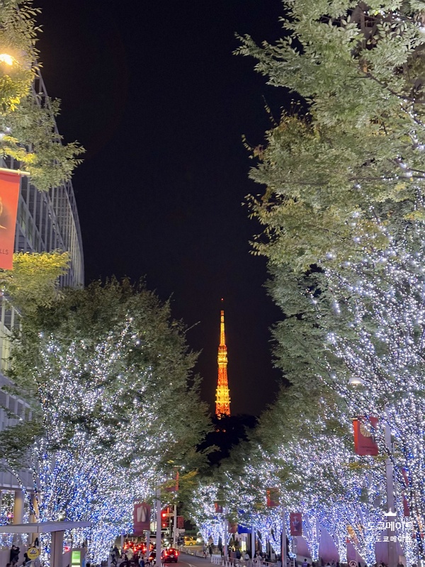 六本木Hills圣诞