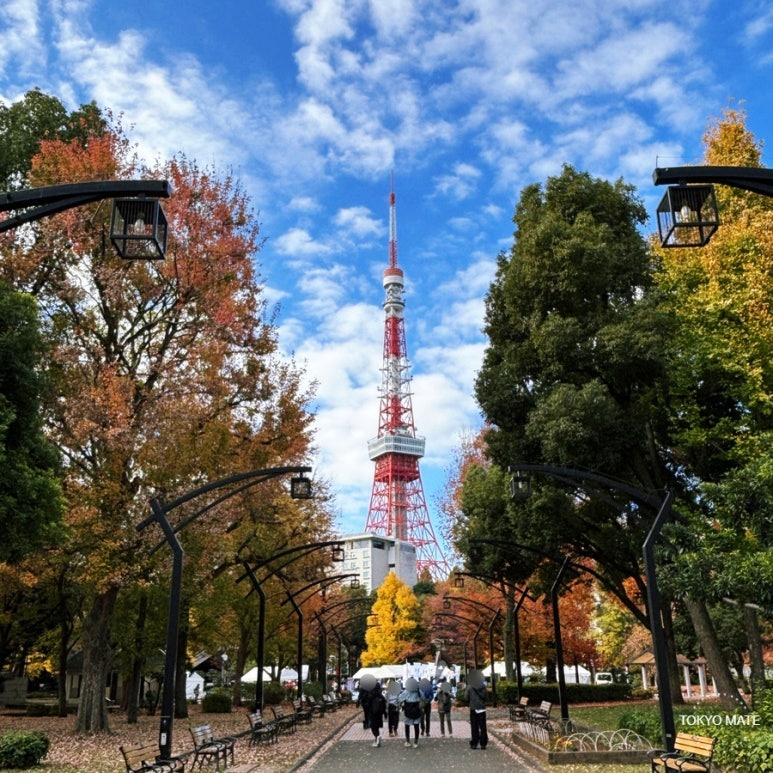 東京3泊4日モデルコース｜ディズニー含む・渋谷スカイ・予算まで完全ガイド