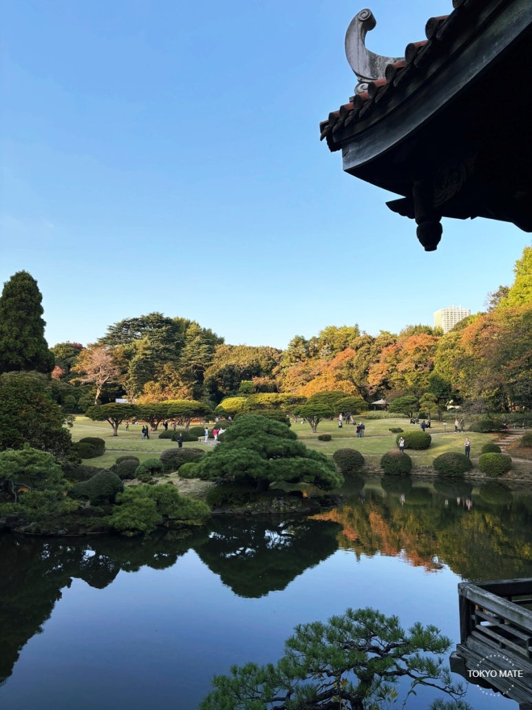Shinjuku Gyoen Japanese Garden