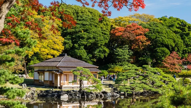 Hamarikyu Gardens autumn foliage with traditional Japanese garden view
