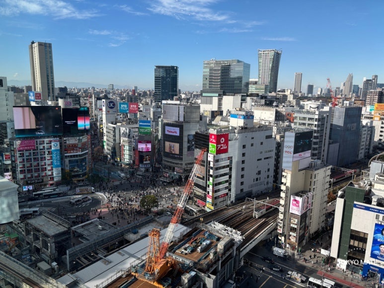 Shibuya Scramble Crossing during cherry blossom season in Tokyo