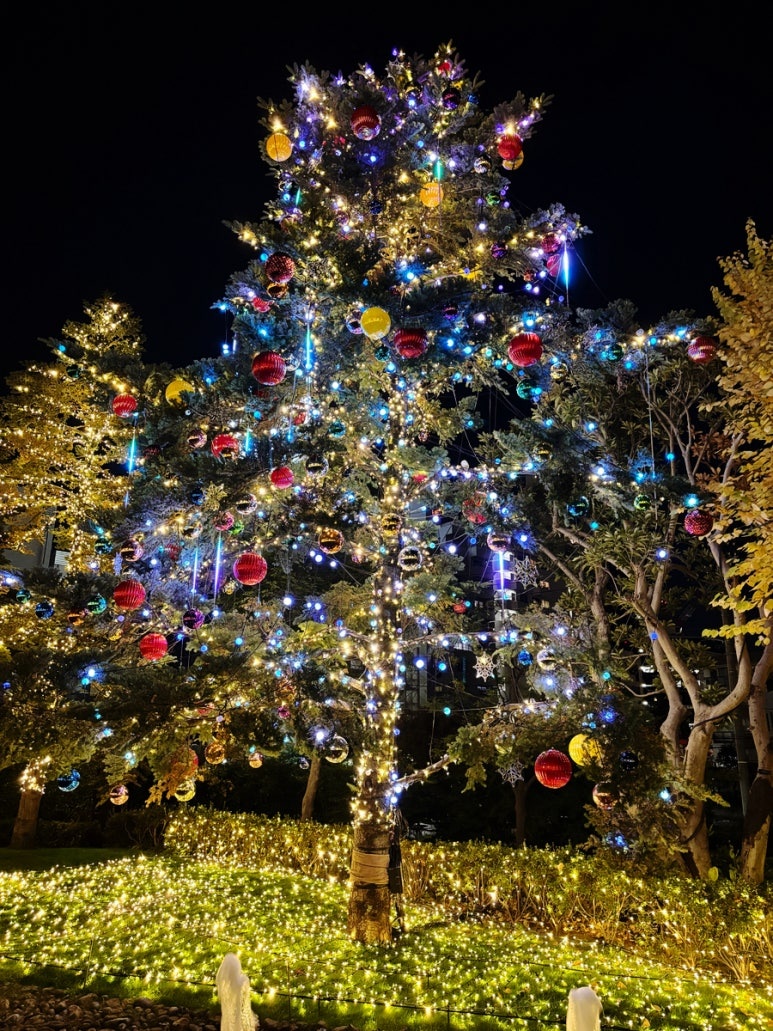 2025 Roppongi Tokyo Midtown Christmas Tree