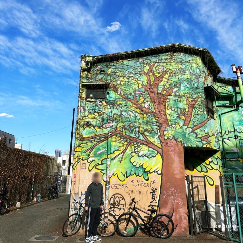 Tokyo February weather characteristics, clear blue skies frequently seen in Shimokitazawa