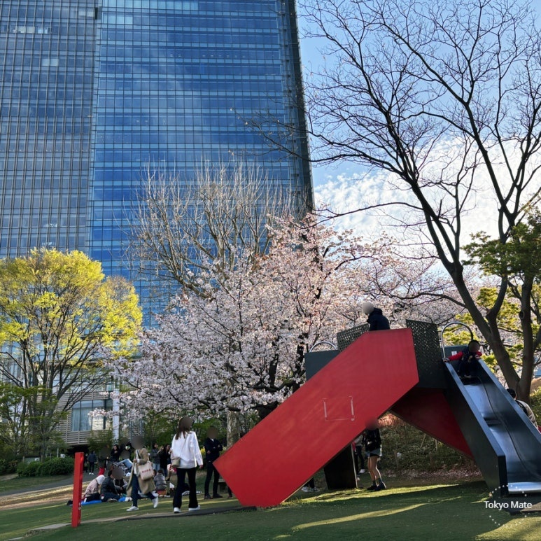 Tokyo March Weather & Clothing Guide: Temperature, Rain & Cherry Blossom Season Outfits