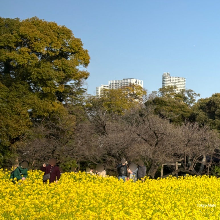 3月下旬 浜離宮庭園での服装