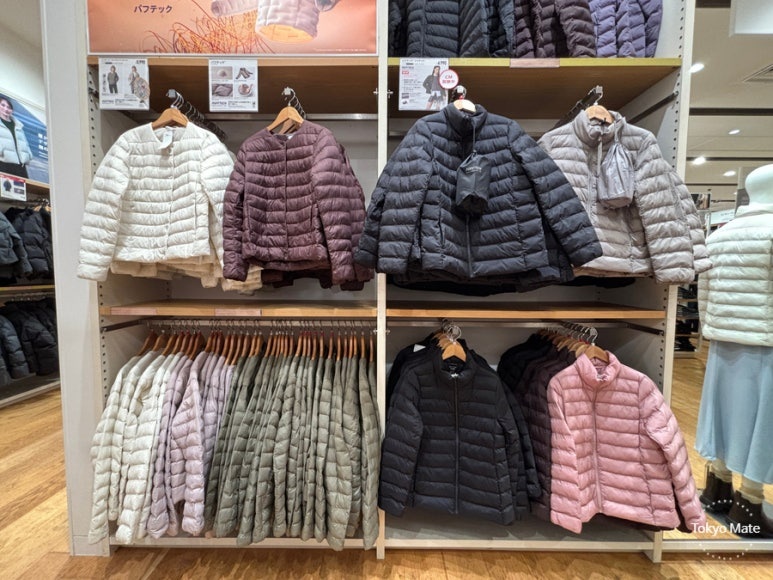 東京3月 コートvsダウン 軽量ダウン推薦