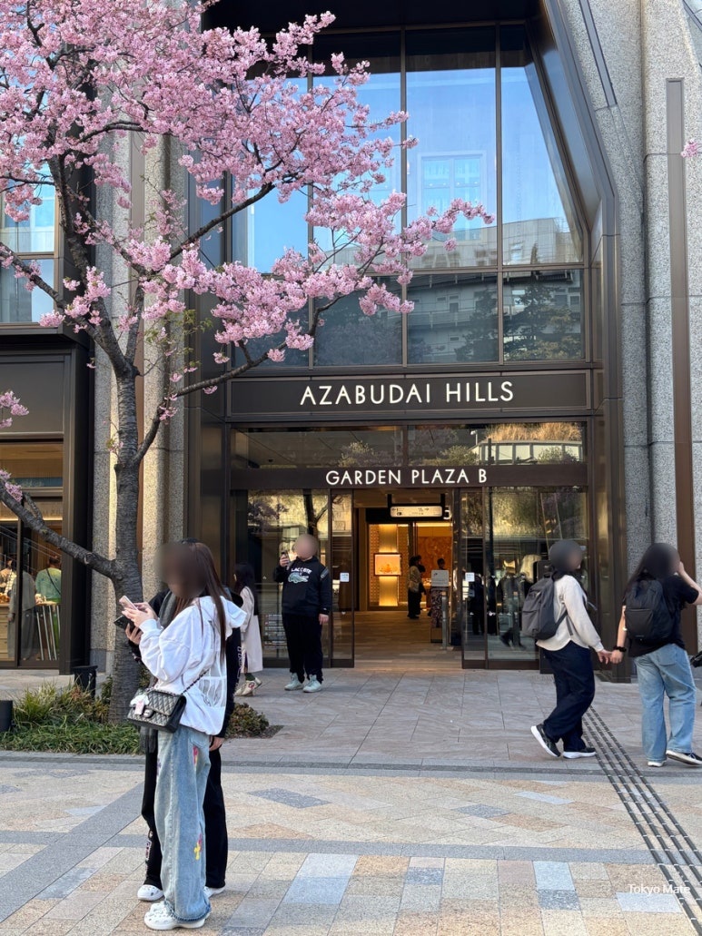 東京 桜シーズンの服装