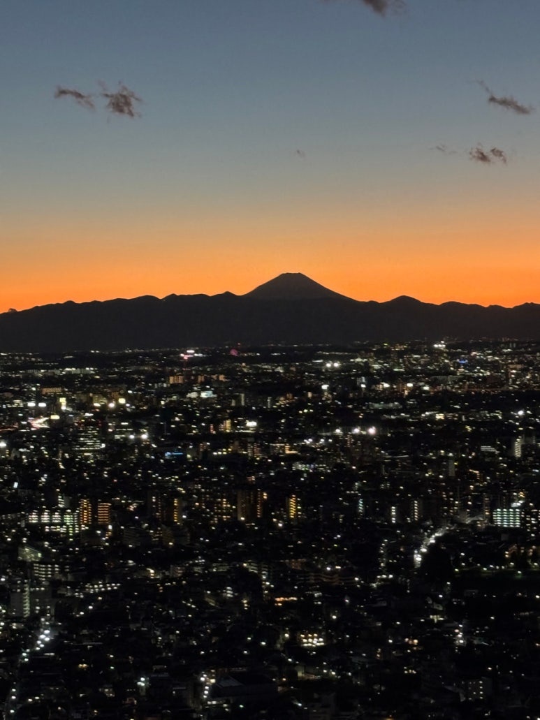 Tokyo landmarks projection