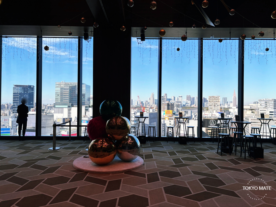 Shibuya Scramble View