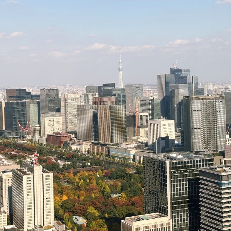 Tokyo Skytree view from Tokyo Node Dining