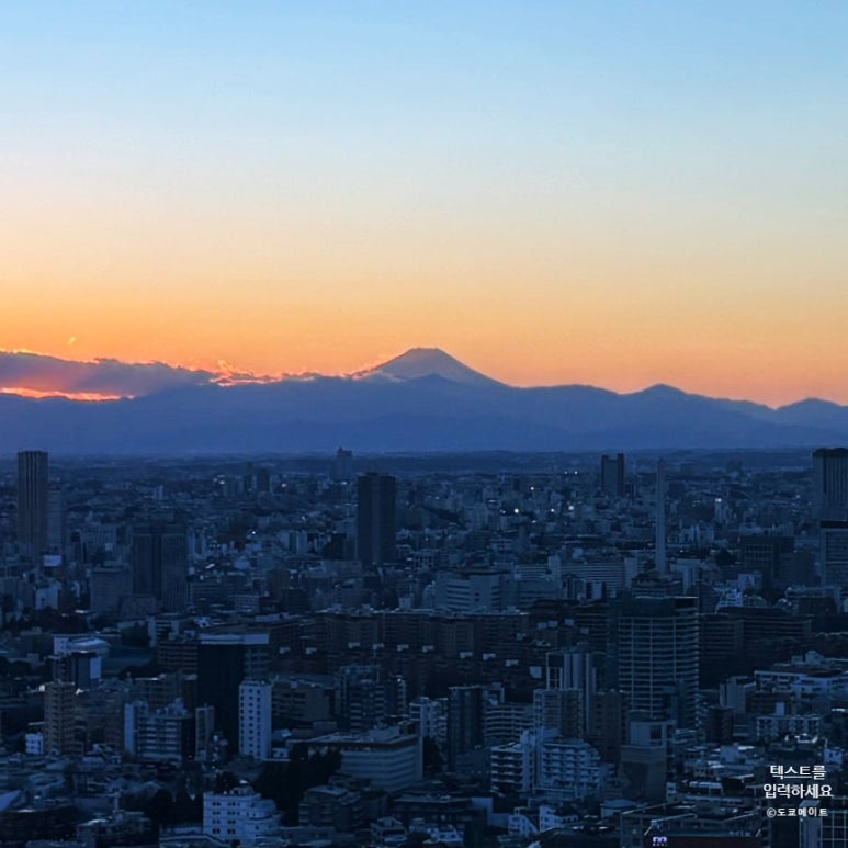View of Mt. Fuji from Roppongi Hills Observatory