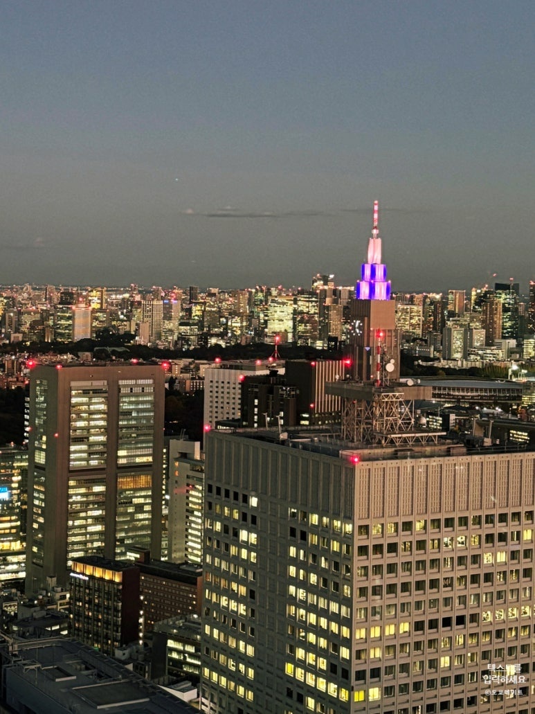 Tokyo Metropolitan Government Building exterior