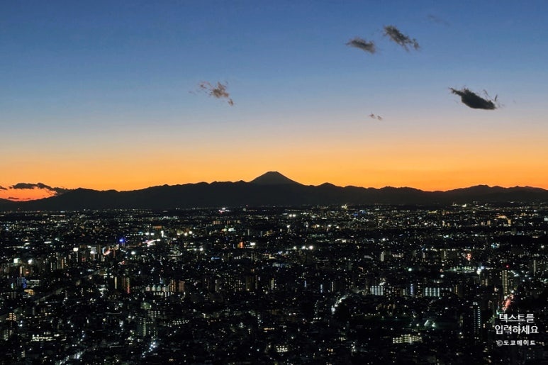 Shinjuku night view from Tokyo Metropolitan Government Building Observatory
