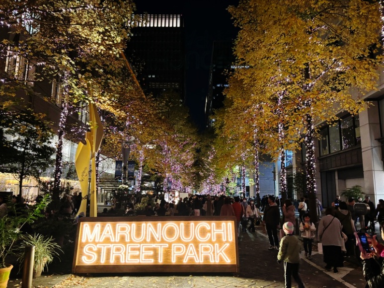 Marunouchi Naka-dori Illumination