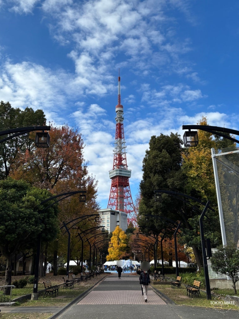 Shiba Park Area 4 tree-lined avenue with Tokyo Tower in the background