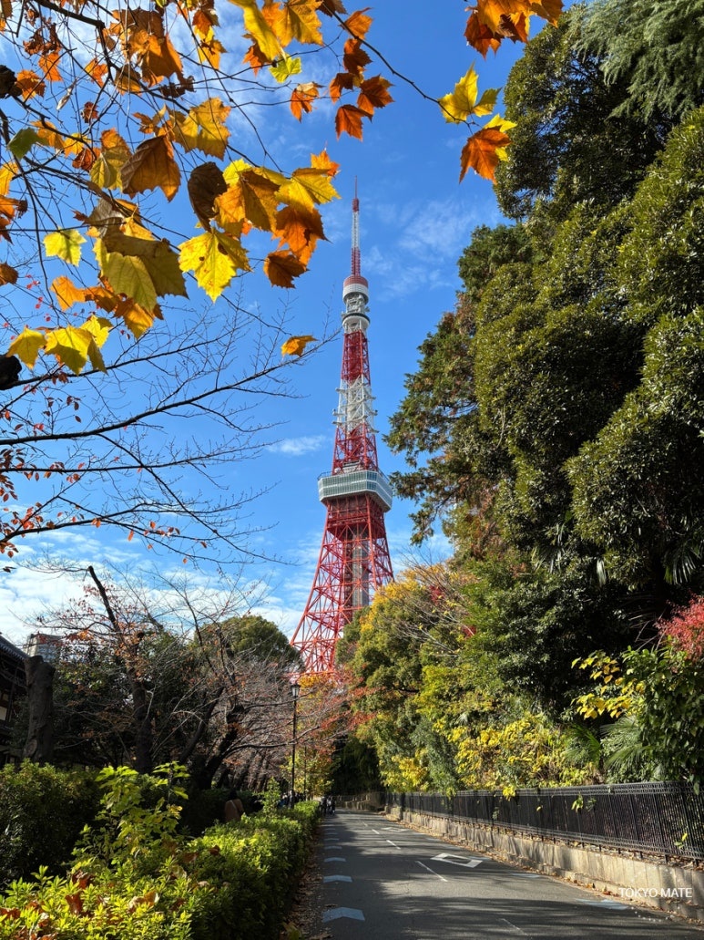 Zojoji Temple north road with Tokyo Tower framed between buildings