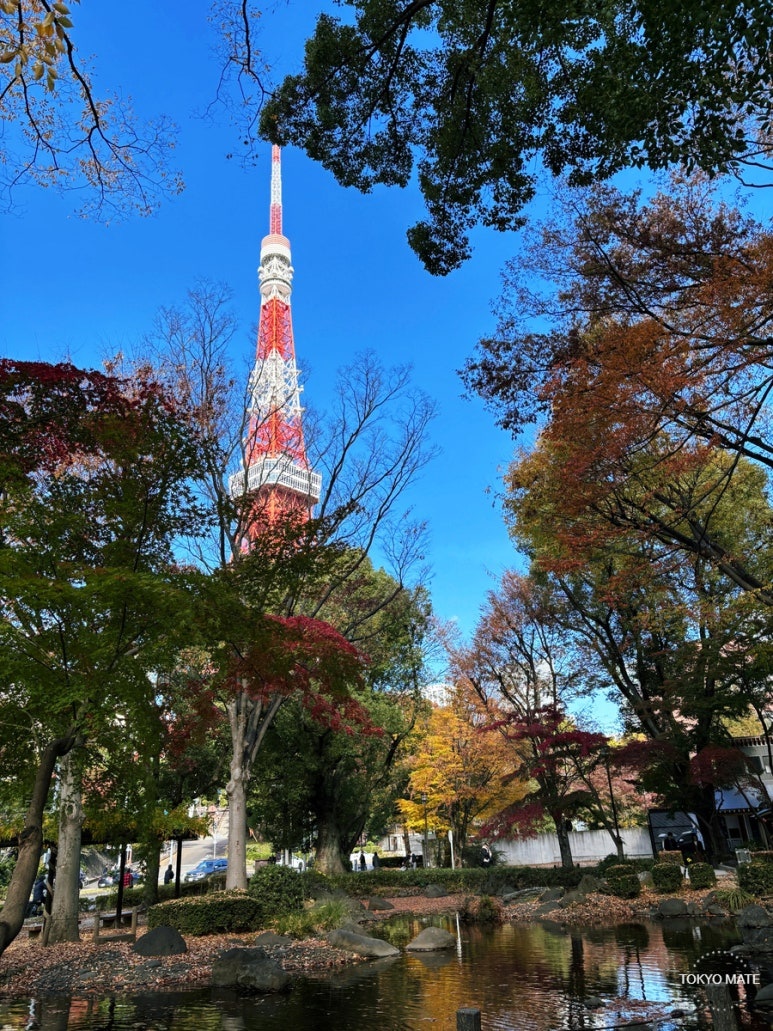 Tokyo Tower reflected in Benten-ike Pond