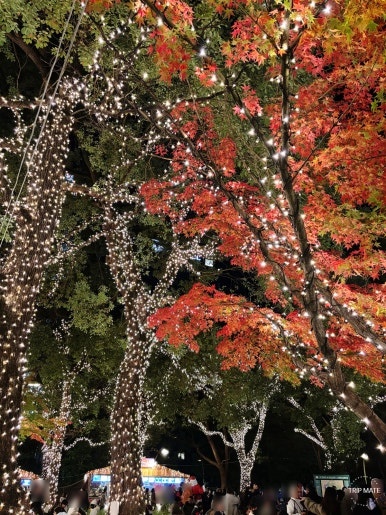 Illumination street 3