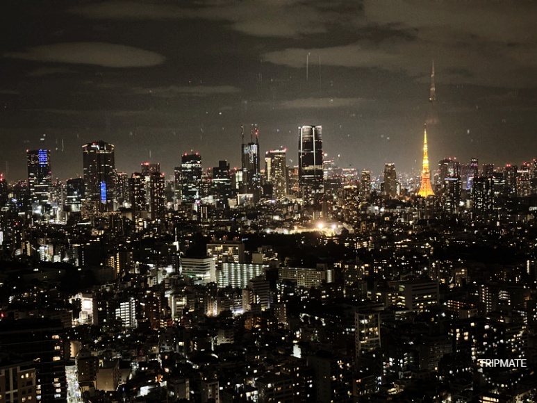 Tokyo Tower night view visible from Yebisu Garden Place Top of Yebisu free observatory 2025 winter