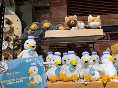 赤レンガ倉庫 海側の公園